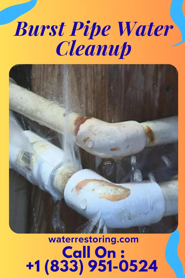 Burst Pipe Water Cleanup in Peck, ID