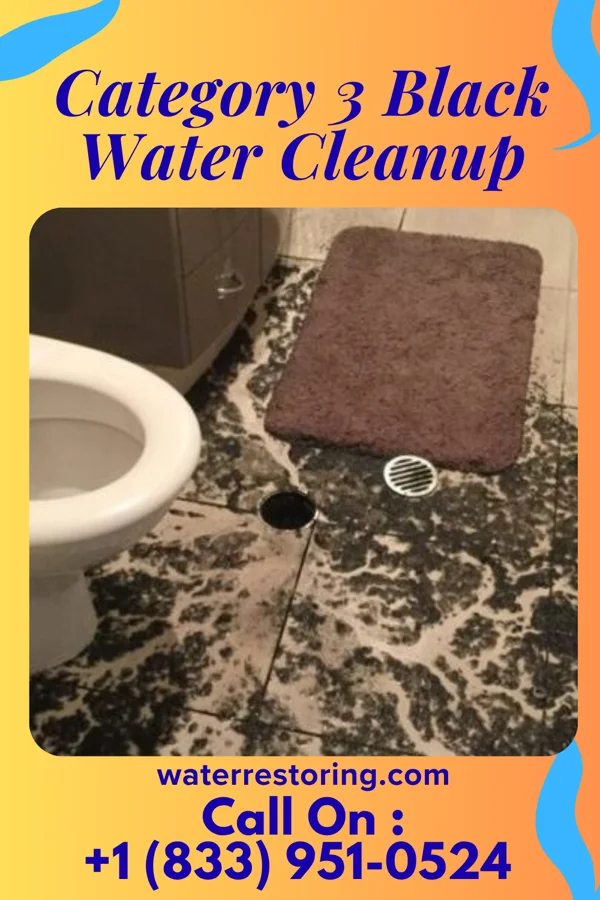 Category 3 Black Water Cleanup in Peck, ID