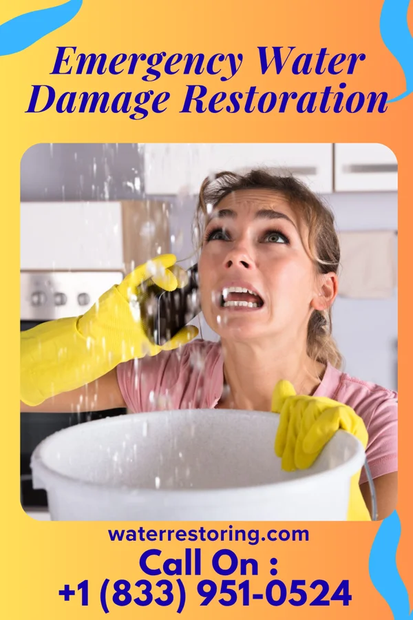 Emergency Water Damage Restoration in Peck, ID